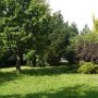GARTEN-ANSICHT ZUM SONNEN